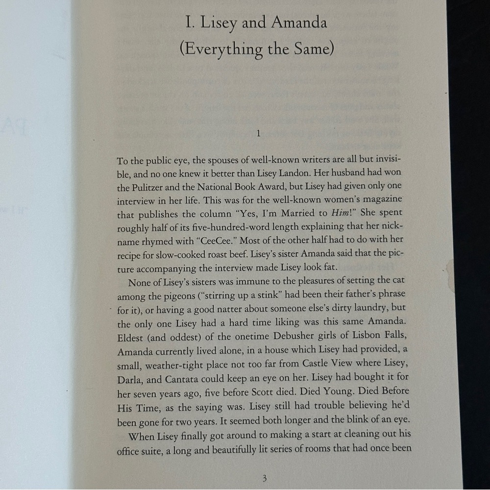 Lisey's Story: A Novel by Stephen King | Fiction | Hardcover Book - Picture 11 of 11